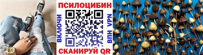 Псилоцибиновые грибы Psilocybine cubensis  ОМГ ОМГ маркетплейс  Белинский 